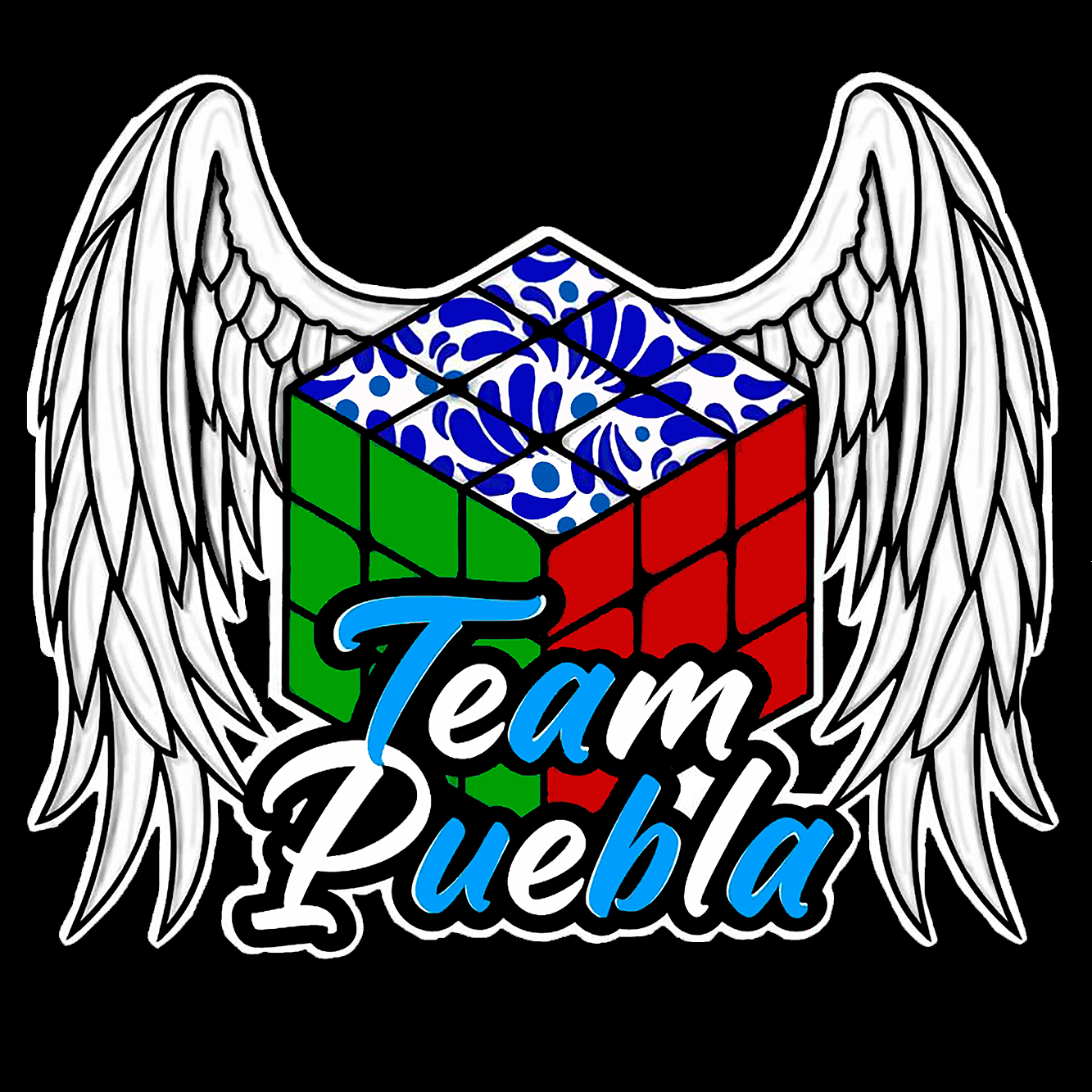 Team Puebla profile