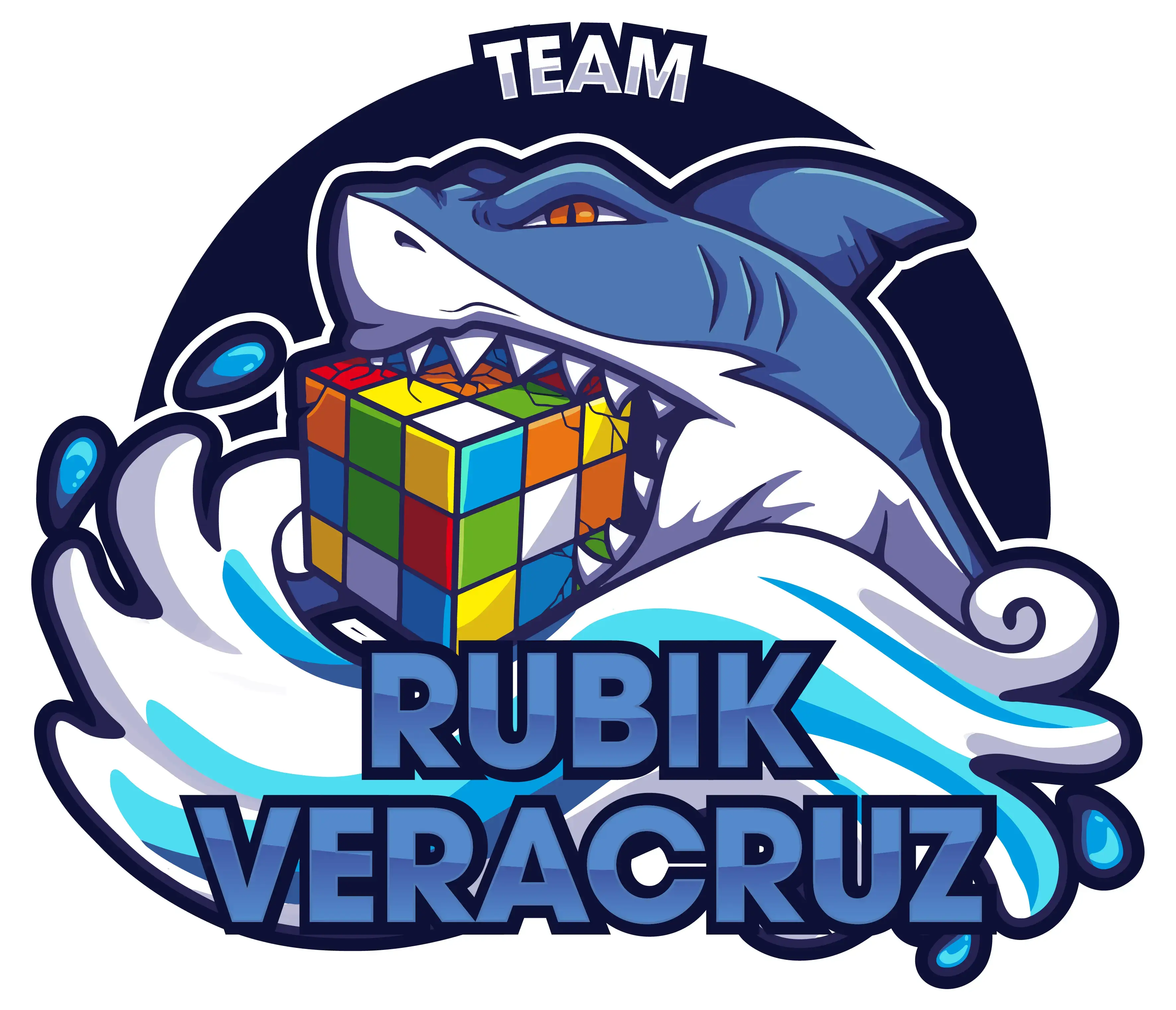 Team Veracruz profile